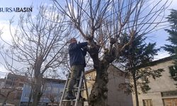 Gemlik Belediyesi'nden Yeşil Alan ve Temizlik Çalışmaları