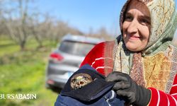 İnegöl’de Mevsimlik İşçiler Yaralı Şahine Sahip Çıktı