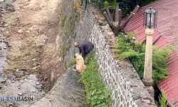 Osmangazi'de Kangal köpekleri sahibi tarafından kurtarıldı