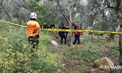 İznik'te Kayıp emekli öğretmen zeytinlikte ölü bulundu