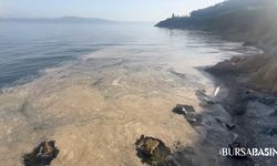 Gemlik Körfezi'nde Müsilaj Endişesi Yeniden Arttı
