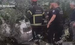 İnegöl’de Lodos Ağacı Devirdi, Araç Hasar Gördü