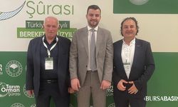 Ahşap Palet Sektörü Stratejik Statü Bekliyor