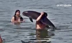 Mudanya’da ölü yunusu sırtında taşıdı