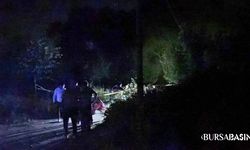 İznik Gölü Yolunda Boğazı Kesilmiş Ceset Bulundu
