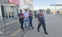 Orhangazi'deki Cinayet Zanlısı Tutuklandı
