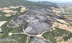 Yenişehir’deki orman yangını 500 saha alanı yaktı