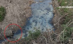İnegöl’de Dereye Karışan Lağım Mahalleliyi İsyan Ettirdi