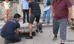 İnegöl’de Rögara Düşen Karga İtfaiye Tarafından Kurtarıldı
