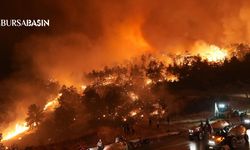 Gürsu Halkı Yangınla Mücadelede Seferber Oldu