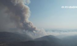 Harmancık'ta Orman Yangını Yeniden Alevlendi