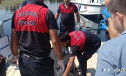 Fırat Nehri’nde Sürüklenen Erkek Cesedi Bulundu