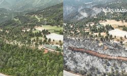 Gürsu’daki Yeşil Cennet Küle Döndü, Yürekler Burkuldu