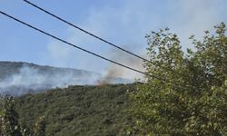 Orhangazi Gedelek’teki Orman Yangını Kontrol Altında
