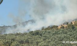 İznik’te Ormanlık Alanda Çıkan Yangın Korkuttu