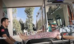 İnegöl’de hayvan çiftliğinde yangın paniği: 1 yaralı