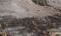 Karacabey’de 16 saatte söndürülen yangının izleri