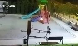 Bursa’da Çocukların Yaktığı Ateş Parkı Küle Çevirdi