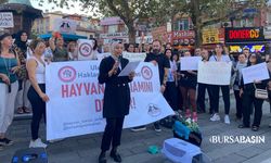 Bursa’da hayvan hakları için meydanlarda ortak çağrı