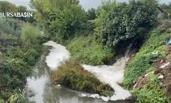 Karsak Deresi’ndeki kirlilik Gemlik Körfezi’ne ulaştı