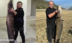 Boğazköy Barajı’nda Dev Yayın Balıkları Görüldü