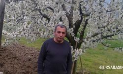 Keles’te Ağaçtan Düşen Adam Hayatını Kaybetti