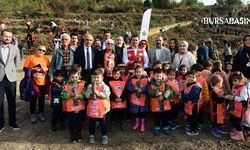 Osmangazi’de 1 Kitap 1 Fidan Projesiyle 700 Fidan Dikildi