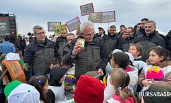 Harmancık’ta Yanan 4 Bin Hektar Yeniden Yeşeriyor