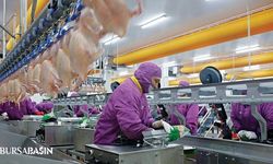 Beyaz et üretimi 2025’te 2,7 milyon tona çıkacak