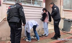 İnegöl’de Yürek Burkan Yangın: 2 Kedi Hayatını Kaybetti