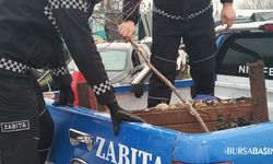 Nilüfer’de Kaldırımlar Yayalara Geri Kazandırıldı