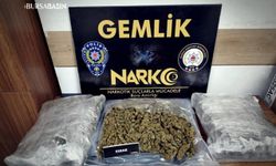 Bursa’da 3,7 Kilo Esrarla Yakalandı