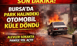 Bursa’da park halindeki otomobil küle döndü