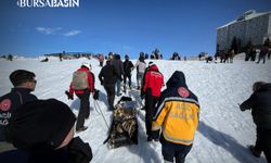 Uludağ’da Kızak Faciası: Tatilci Dereye Uçtu