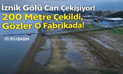 İznik Gölü 200 Metre Çekildi, Gözler O Fabrikada!