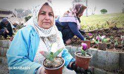 Osmangazi Baharla Renk Cümbüşüne Döndü