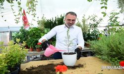 Kestel Süs Bitkilerinde Üreticiye Destek Oluyor