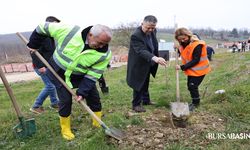 Nilüfer’de Umut Ormanı’na 225 Fidan Dikildi
