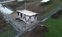 Hayvan Merkezi Kundaklandı, Büyük Hasar Oluştu