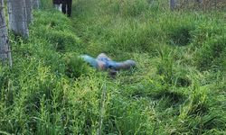 Günlerdir Aranan Yaşlı Adamdan Acı Haber