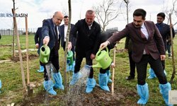 Karacabey’de 700. Yıl Anısına 77 Çınar Dikildi