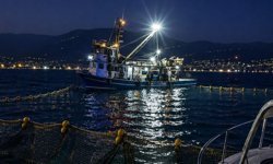 Gemlik Körfezi’nde Ağ Uyarısı