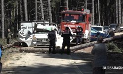 Uludağ’da Kamyonetin Üzerine Ağaç Düştü