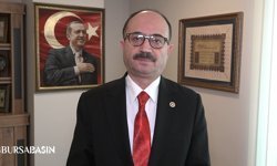 Osman Mesten’in Sokak Köpekleri Açıklaması Tepki Çekti