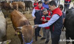 Bayram Öncesi 4 Milyon Hayvan Denetlendi