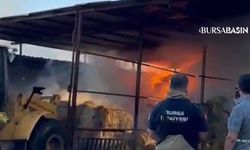 Karacabey’de Çiftlik Yangını: 4 Hayvan Telef Oldu