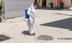 Hamitler'de Haşere İhbarına Osmangazi'den Hızlı Müdahale