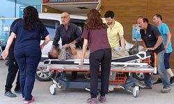 Bursa'da Mantar Toplamaya Giden İmam Ağır Yaralandı