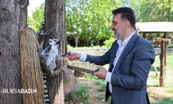 Bursa Hayvanat Bahçesi İçin Yeni Dönem Mesajı