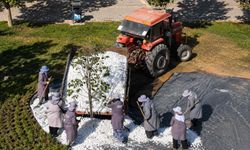 Karacabey'de Park Ve Yeşil Alanlar Yenileniyor